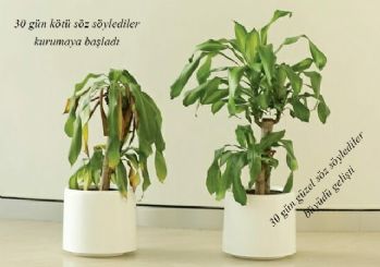 30 gün sövdüler öldü, övdüler büyüdü