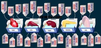 Organ ve çocuk mafyasına dikkat
