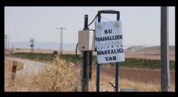 İthal hayvanlarda şarbon alarmı?