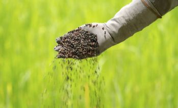 Medyanın işi yalanı parlatma, akademinin işi ise ifsad kendini yalanlamak