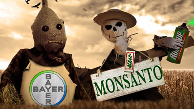 Bayer-Monsanto-1