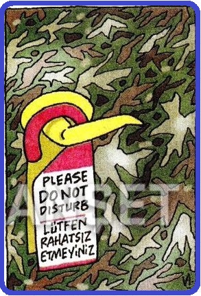 8_17