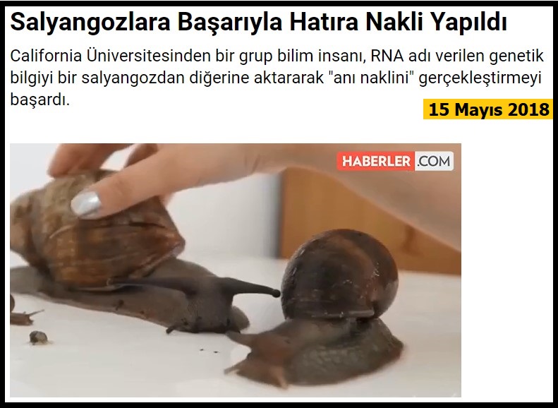 5_4