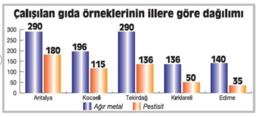 100ornek2