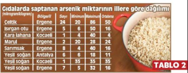 100ornek5