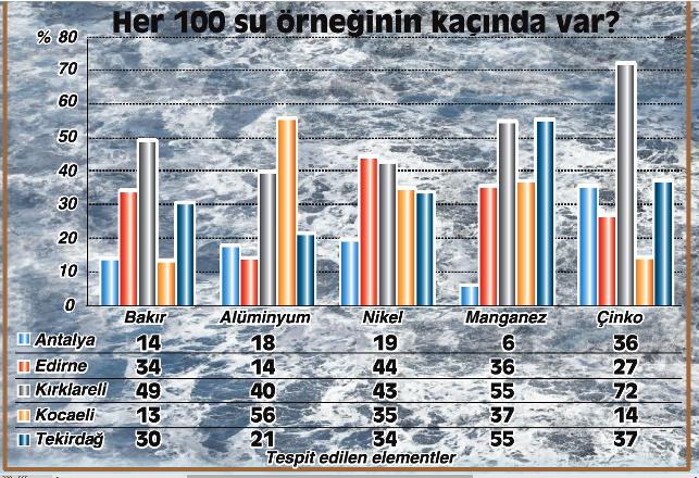 100ornek6