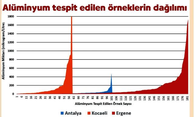 100ornek8