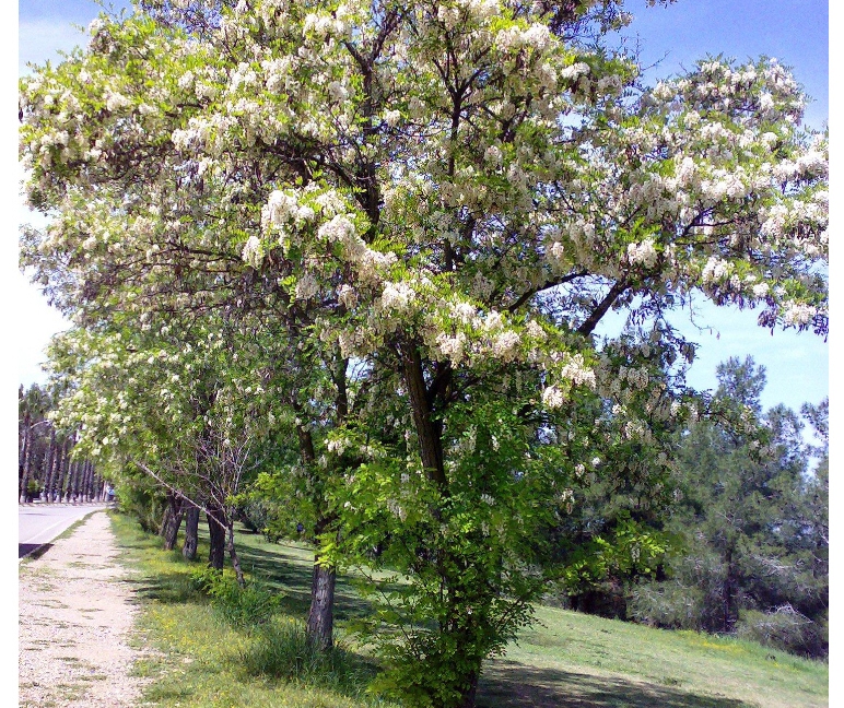 Tabiattan iman artırıcı kareler